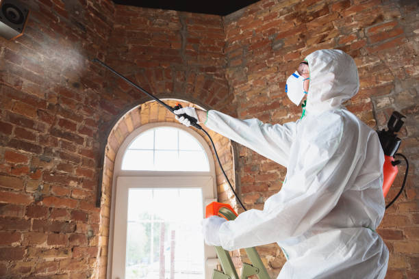 Mold Remediation for Vacation Homes in Hilton Head Island, SC